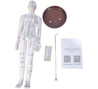 YiNLuax Modèle d'entraînement professionnel Acupoint avec points chinois pour débutants - Aide à l'apprentissage masculin et féminin - Modèle méridien complet du corps