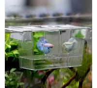 Yinong Pondoir Flottant 2 en 1 Aquarium d'Elevage Incubateur de Poissons Boîte (20 x 10 x 10cm)