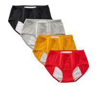 Yintry Culottes de Période Menstruelle en Coton pour Filles Micro Mesh Menstruation Slips Règles pour Femmes Post-Partum sous-vêtements(Lot de 4) (L, Style 2)