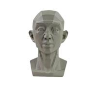 Yiokii Modèle de tête planaire pour artistes, mannequin de dessin, modèle de tête planaire pour artistes, modèle générique de tête planaire pour artistes apprennent les plans de visage