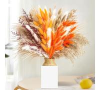Yiomxhi 100 Pièces Pampa Séchées Naturelles Décoration, Bouquet Fleurs Séchées Duveteuses Plante pour Rustique Boho Table Maison Salon Mariage Décor d'automne