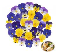 YIPFEN 30 Pièces 6 Types de Fleurs Naturelles Séchées et Pressées, Comestibles pour Décoration de Gâteaux, Cocktails et Loisirs Créatifs (Mélange de Viola Tricolore)