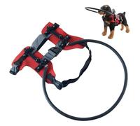 YiQinzcxg Collier de sécurité pour chiens avec déficience visuelle - Barrière aveugle réglable - Harnais de protection pour promenades en plein air - Accessoire d'exploration - Barrière rembourrée