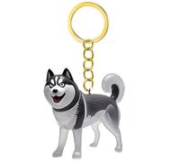 YiQinzcxg Figurine de chien miniature Porte-clés avec bâtiments Collecteur de poils pour animaux de compagnie Boîte de rangement en fourrure de chat transparent Porte-clés Mémorial Kedensakes