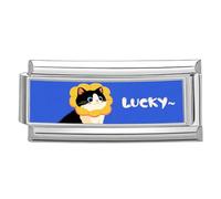 YiQinzcxg Outil de connexion de bracelet multifonction en acier inoxydable texture photo bracelet de connexion modulaire charme pour bijoux ensemble modulaire, taille unique, comme décrit