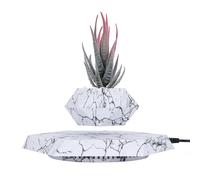 YISUIPU Améliorez Votre décoration de Maison ou de Bureau avec ce Pot à bonsaï créatif Qui utilise la lévitation magnétique pour Suspendre et Faire pivoter Votre Fleur ou Plante préférée, Fabrication