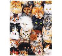 YISUMEI 150x200 cm Couverture Flanelle Douce D¨¦coration de Canap¨¦ Lit Automne et Hiver Animal de Compagnie de Race Mignonne,Color¨¦