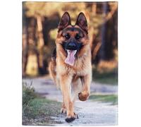 YISUMEI - Couverture 150 x 200 cm - Couverture polaire pour chien de berger - Sensation cachemire - Convient pour lit ou canapé