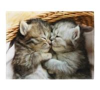 YISUMEI Couverture 150 x 200 cm - Douce Flanelle Douce - Polaire - Une Paire de Chats Mignons