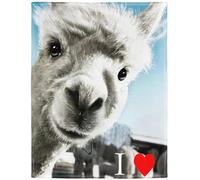 YISUMEI Couverture 150 x 200 cm - En flanelle douce - Jeté de lit - J'aime Lama