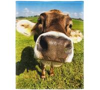 YISUMEI Couverture 150 x 200 cm - Flanelle douce - Couverture polaire douce - Jeté de lit - Vieille ferme de vache