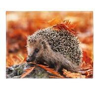 YISUMEI Couverture chaude en fausse fourrure pour lit et canapé, motif hérisson gris, 150 x 200 cm