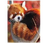 Yisumei Couverture douce en flanelle douce Motif Panda Rouge, Polyester, Blanc., 150x200 cm