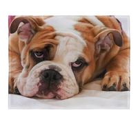 YISUMEI - Couverture polaire douce - Bouledogue anglais, 150 x 200 cm, convient pour canapé ou lit