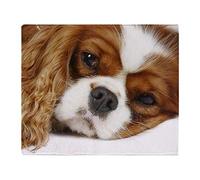 YISUMEI - Couverture Polaire Douce - Cavalier King Charles Spaniel, 100 x 150 cm, Convient pour canapé ou lit