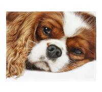 YISUMEI - Couverture polaire douce - Cavalier King Charles Spaniel, 150 x 200 cm, jeté de lit ou canapé