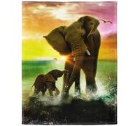 YISUMEI - Couverture polaire douce - Dessin d'éléphant, 150 x 200 cm, jeté de lit ou canapé