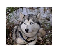 YISUMEI - Couverture polaire douce - Husky de Sibérie, 125 x 150 cm, convient pour canapé ou lit