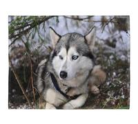 YISUMEI - Couverture polaire douce - Husky de Sibérie, jeté de lit 150 x 200 cm, convient pour canapé ou lit
