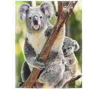 YISUMEI - Couverture polaire douce - Koala Bear tenant l'arbre serré, 150 x 200 cm, convient pour lit ou canapé