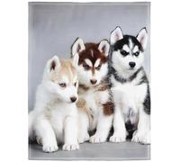 Yisumei - Plaid - Jeté de chiots de chiens Husky Sibérien Pets, convient pour lit ou canapé, Coton mélangé, Color1, 150 x 200 cm