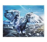 Yisummei Couverture en polaire douce Blanc neige Chouette pour lit ou canapé, Coton mélangé, Color1, 150 x 200 cm