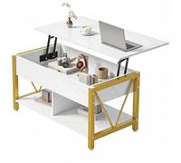 YITAHOME Table Basse Réglable Design Industriel avec Rangement Caché, Table Salon Multifonction à Levage Assisté, Idéale comme Table Travail ou à Manger, Marbre Blanc