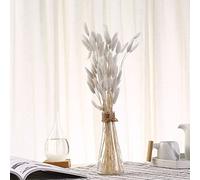 YIWOYI 50 tiges d'herbe à queue de lapin fleurs naturelles séchées, bouquet de fleurs naturelles séchées décoration florale pour la maison affichage décoratif pour les fêtes (blanc)