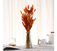 YIWOYI 50 tiges d'herbe de queue de lapin naturelles séchées, bouquet de fleurs séchées naturelles pour décoration de maison, décoration de fête (orange)