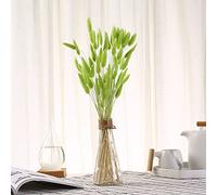 YIWOYI 50 tiges d'herbe de queue de lapin naturelles séchées, bouquet de fleurs séchées naturelles pour décoration d'intérieur, plantes décoratives de fête (vert clair)