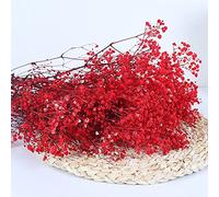 YIWOYI Bouquet de fleurs séchées naturelles de gypsophiles fraîches séchées pour gypsophile paniculata pour mariage, fête, décoration d'intérieur (rouge, 40-55 cm, 80 g)