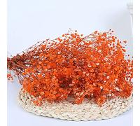 YIWOYI Bouquet de fleurs séchées naturelles de gypsophiles fraîches séchées pour gypsophile paniculata pour mariage, décoration d'intérieur (orange, 40-55 cm, 80 g)