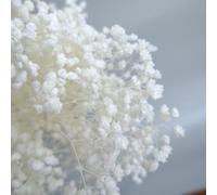 YIWOYI Fleurs de gypsophile séchées blanches, roses, jaunes, etc. Plusieurs styles pour bouquets de fleurs artificielles au toucher réel pour mariage, arrangement floral, fête, décoration de la maison