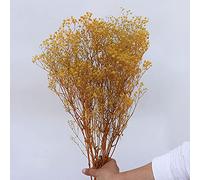 YIWOYI Fleurs naturelles séchées, Gypsophile paniculata, cadeau pour décoration de mariage, décoration d'intérieur (jaune, 40-55 cm, 80 g)