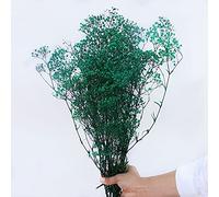 YIWOYI Fleurs séchées naturelles, bouquet de gypsophiles paniculées, cadeau pour décoration de mariage, décoration d'intérieur (vert foncé, 40 à 55 cm, 80 g)