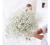 YIWOYI Fleurs séchées naturelles, bouquet de gypsophiles paniculées pour fête de mariage, décoration de la maison (blanc, 30 à 40 cm, 30 g)