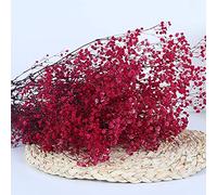 YIWOYI Fleurs séchées naturelles, bouquet de gypsophiles paniculées pour fête de mariage, décoration de la maison (rose et rouge, 30 à 40 cm, 30 g)
