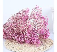 YIWOYI Fleurs séchées naturelles, bouquet de gypsophiles paniculées pour fête de mariage, décoration de la maison (rose et violet, 15 à 30 cm, 20 g)