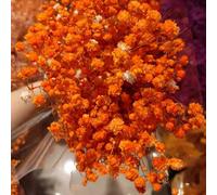 YIWOYI Fleurs séchées naturelles gypsophiles immortelles pour décoration de mariage, maison et magasin, bureau, 70 g/lot, environ 50 cm (orange, 70 g)