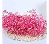 YIWOYI Gypsophile naturelle séchée - Fleurs séchées et préservées - Gypsophila Paniculata - Bouquets de fleurs pour fête de mariage, décoration de la maison (rose, 40-55 cm, 80 g)