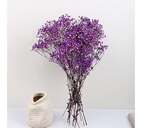 YIWOYI Gypsophile naturelle séchée pour bébé, fleurs de gypsophile séchées pour mariage, décoration d'intérieur, Saint-Valentin (violet, environ 80 g)