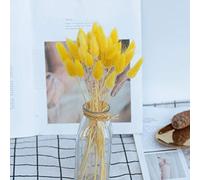 YIWOYI Herbe naturelle séchée en queue de lapin - Fleurs naturelles séchées - Bouquet de fleurs de lagurus et de pampa - Décoration d'intérieur - Bouquet pour mariage (jaune, 60 pièces)