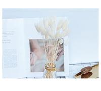 YIWOYI Herbe naturelle séchée en queue de lapin - Fleurs naturelles séchées - Bouquet de fleurs de lagurus et de pampa - Décoration d'intérieur pour mariage (blanc, 30 pièces)