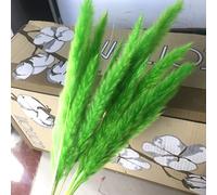 YIWOYI Lot de 15 petites fleurs séchées en roseau, pour décoration de mariage (vert, environ 60 cm)