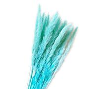 YIWOYI Lot de 15 tiges de pampas séchées - Colorées naturelles - Bouquet de fleurs séchées - Pour décoration de maison ou de mariage - Bleu