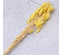 YIWOYI Lot de 20 fleurs séchées naturelles en forme de queue de lapin - Véritables fleurs séchées - Pour décoration de mariage, maison, Pâques - Jaunes