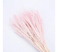 YIWOYI Lot de 50 fleurs naturelles séchées avec oreilles de blé pour décoration de fête de mariage, loisirs créatifs, scrapbooking, décoration d'intérieur (rose)