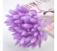 YIWOYI Lot de 50 fleurs séchées naturelles en peluche, colorées, queue de lapin, herbe et queue de renard, longues bouquets de plantes artificielles décoratives (violet clair)