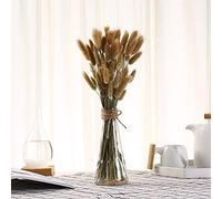 YIWOYI Lot de 50 tiges en forme de queue de lapin - Fleurs séchées naturelles - Décoration d'intérieur - Plantes décoratives de fête (primaire)