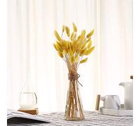 YIWOYI Lot de 50 tiges en forme de queue de lapin - Fleurs séchées naturelles - Décoration d'intérieur - Plantes décoratives de fête - Jaune foncé
